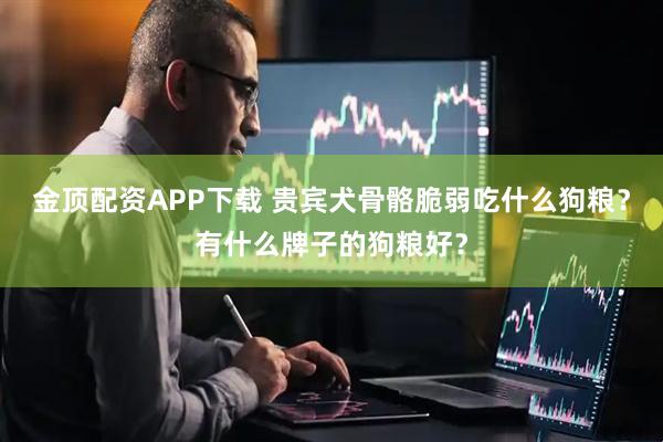 金顶配资APP下载 贵宾犬骨骼脆弱吃什么狗粮？有什么牌子的狗粮好？