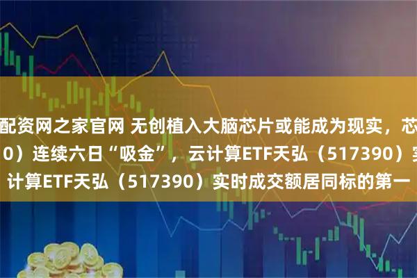 配资网之家官网 无创植入大脑芯片或能成为现实，芯片ETF天弘（159310）连续六日“吸金”，云计算ETF天弘（517390）实时成交额居同标的第一