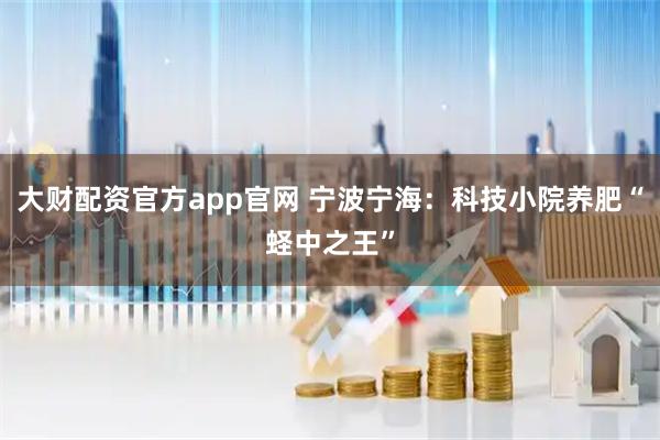 大财配资官方app官网 宁波宁海：科技小院养肥“蛏中之王”